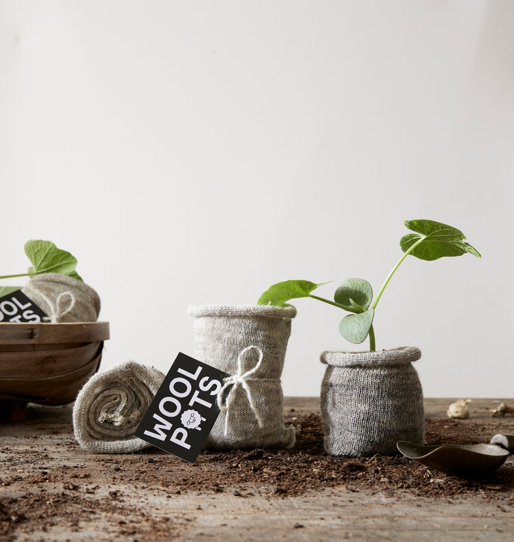 Eco-Friendly Wool Plant Pots | Sustainable Gardening Solutions - Wool ...
