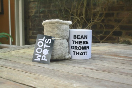 Bean There Grown That! - Mug and 10 Wool Pots