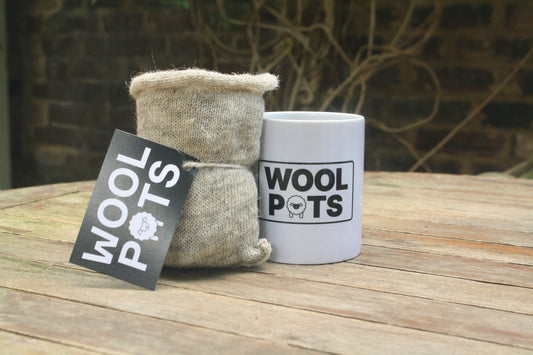 Wool Pots - Mug and 10 Wool Pots